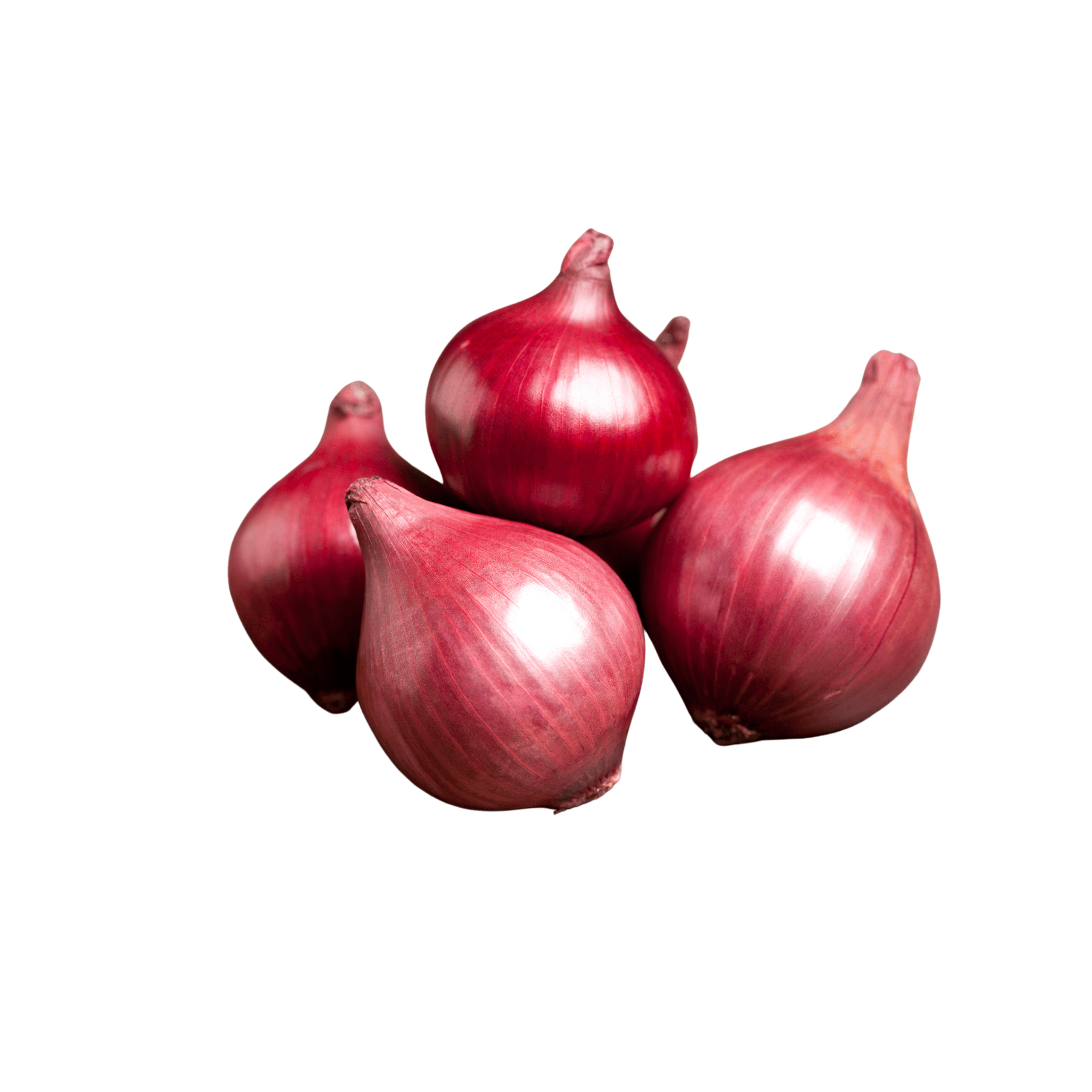 Red Onion 10Lbs Bag