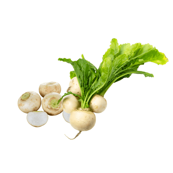 White Turnip, 2lbs