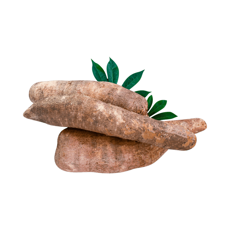 Yucca Root, 2lbs