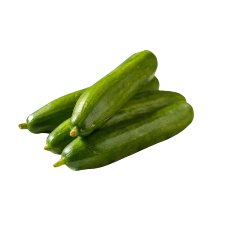 Persian Cucumber, 1 lb