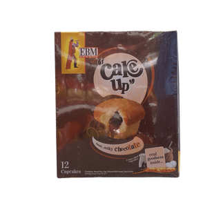 EBM Cake Up Chocolate, 276g - jaldi