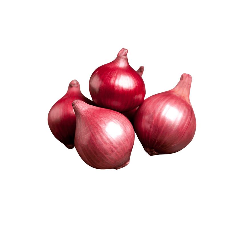 Red Onions, 10 lb Bag