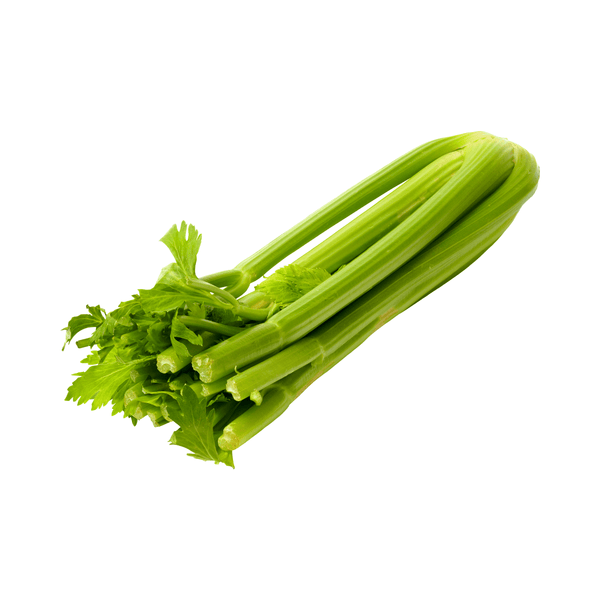 Celery Stalk